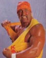 4-Hulk Hogan